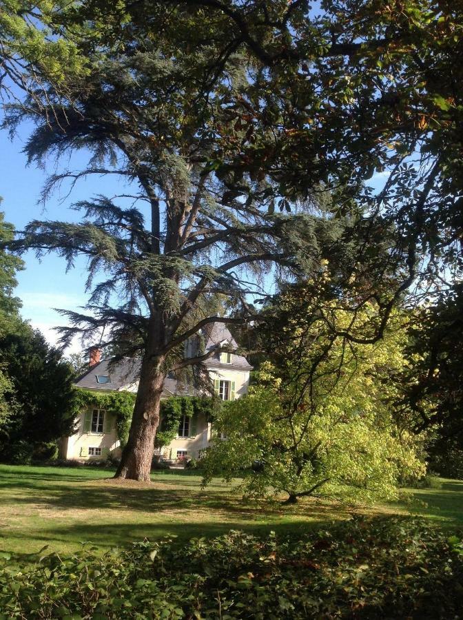 Chateau De La Villette Ardentes Luaran gambar